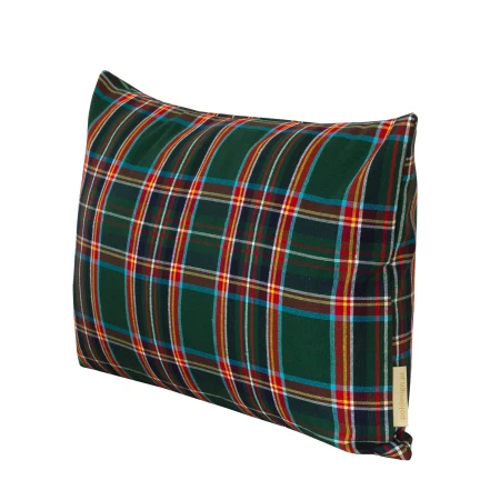 green tarts pillow rectangular.jpg